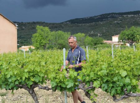 Clos de l'Abbé Dubois - Le domaine